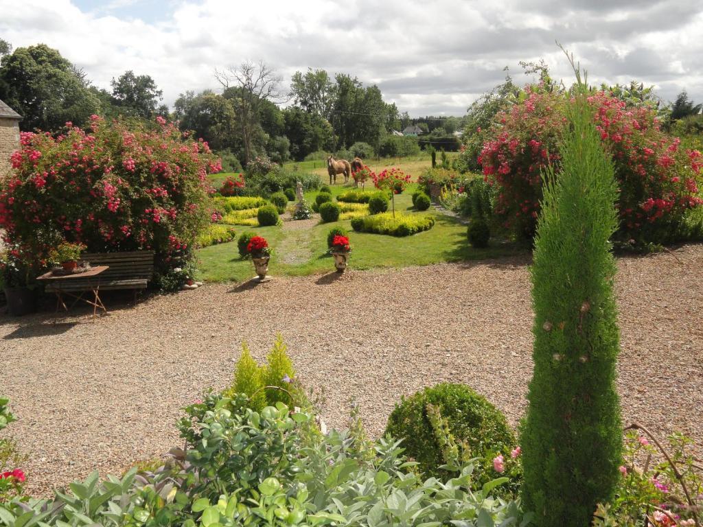 Manoir De La Branche Bed & Breakfast Maen Roch Dış mekan fotoğraf