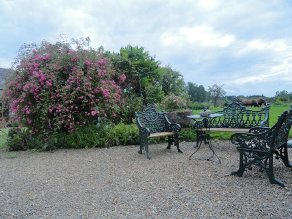 Manoir De La Branche Bed & Breakfast Maen Roch Dış mekan fotoğraf