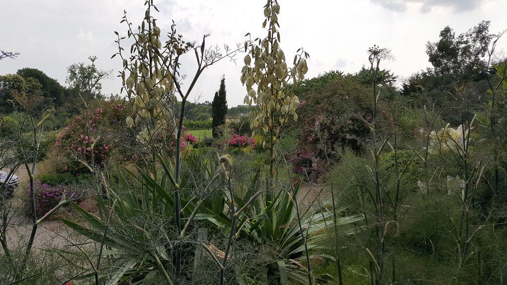 Manoir De La Branche Bed & Breakfast Maen Roch Dış mekan fotoğraf