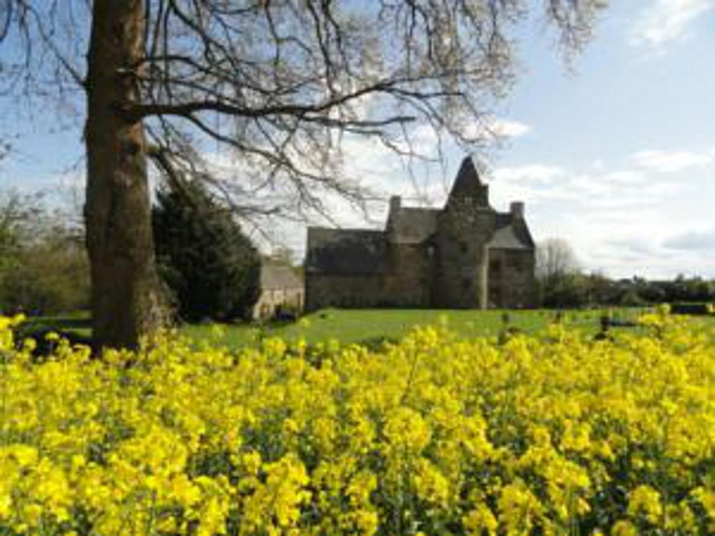 Manoir De La Branche Bed & Breakfast Maen Roch Dış mekan fotoğraf